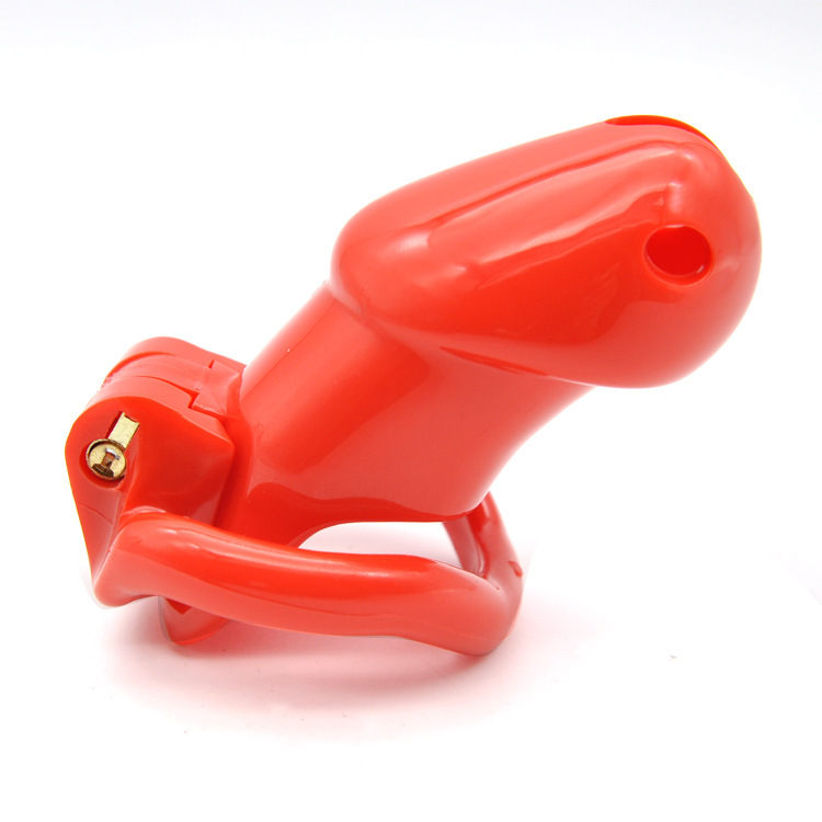 Sissy Bitch High Security Keyed Tumbler Male Chastity Cage