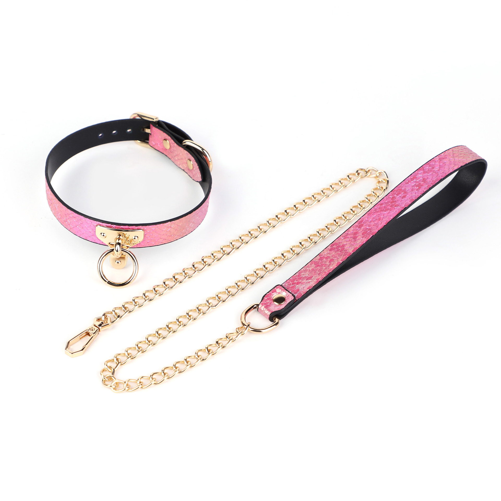 Snake Skin Texture Collar Leash Set